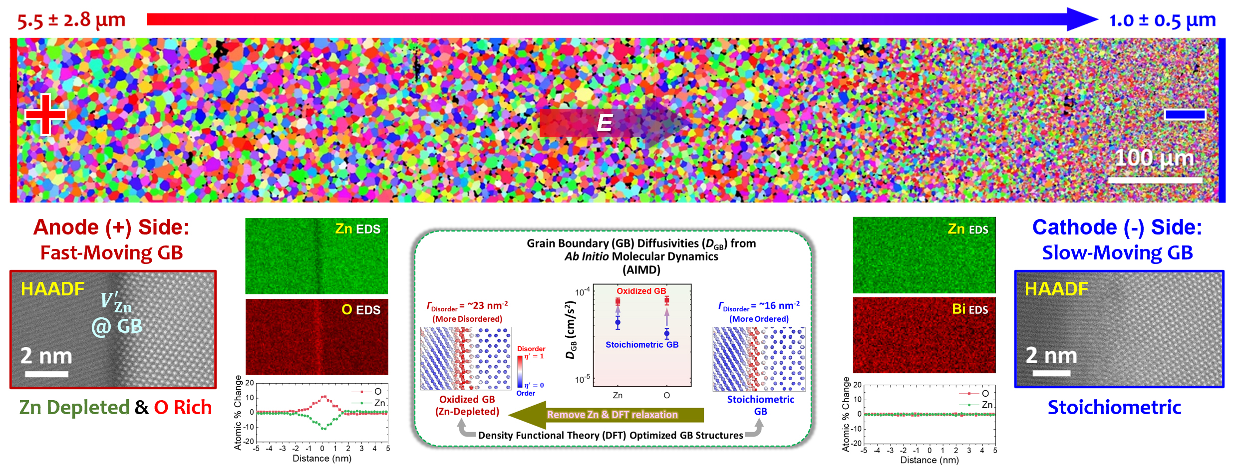 Creating Graded Microstructures via Electrochemically Altering Grain Boundary Complexions